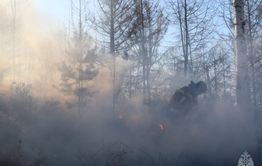 Пожар на Молоковке ликвидирован