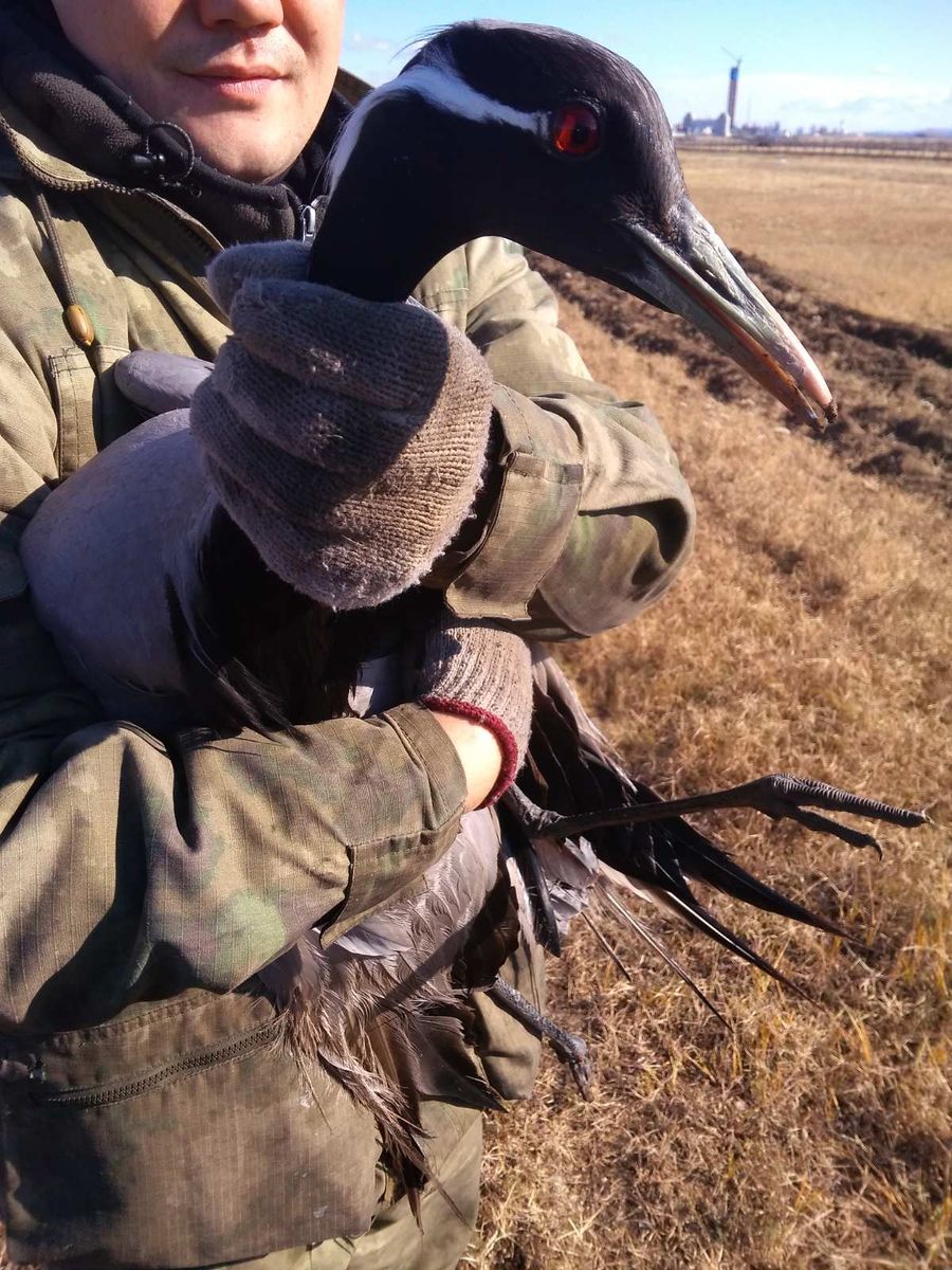 Gazetavechorka.ru сообщает