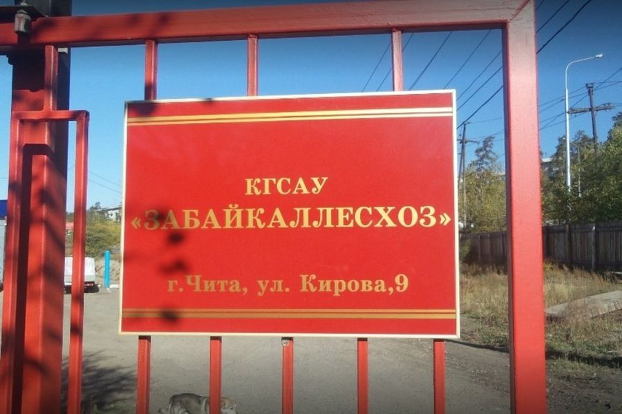Экс-глава «Забайкаллесхоза» загремел на пять лет за хищение бюджетных денег