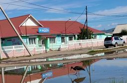 Крансокнижный черный аист на улицах Кыры. 4.0...