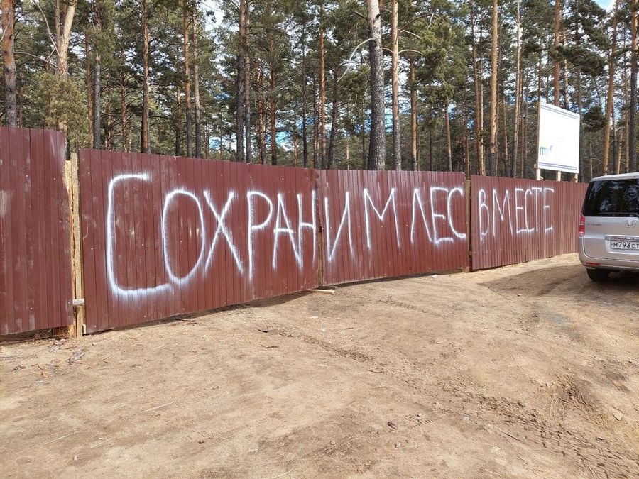 Строительство «домов для медиков» в реликтовом лесу в Чите отменили