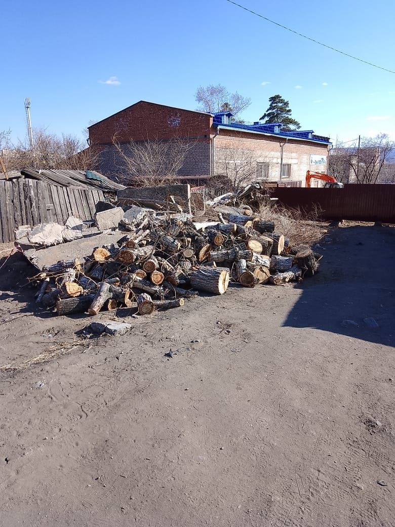 Свалка из тополей в центре Читы