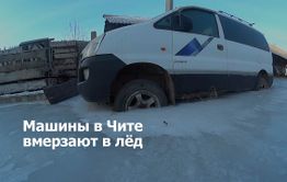 Битва против природы