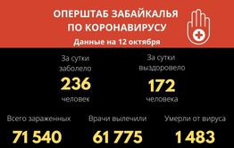 В Забайкалье выявили 236 новых случаев заражения коронавирусом за сутки