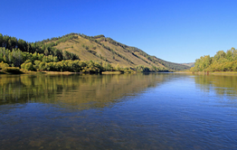 Мутный Чикой, дорогая вода и кодекс чести