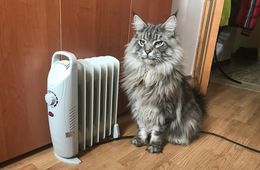 Пенсионерка из Краснокаменска пожаловалась на обогреватель