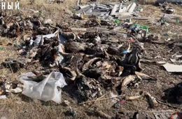 На КСК в Чите обнаружена свалка коровьих голов (18+)