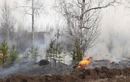 На территории Забайкалья действуют 12 пожаров