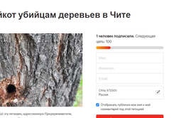 Бойкот рекламщикам и дендро-диверсантам!