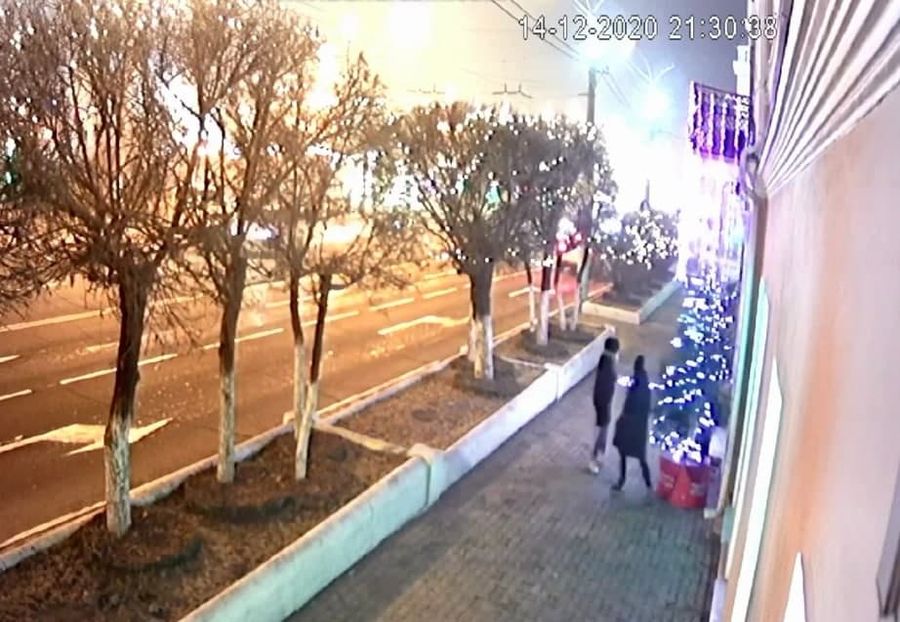 Читинские вандалки снесли елку возле городской администрации