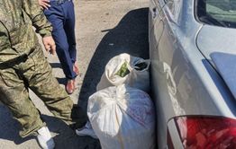 Забайкальца задержали с 30 килограммами конопли 