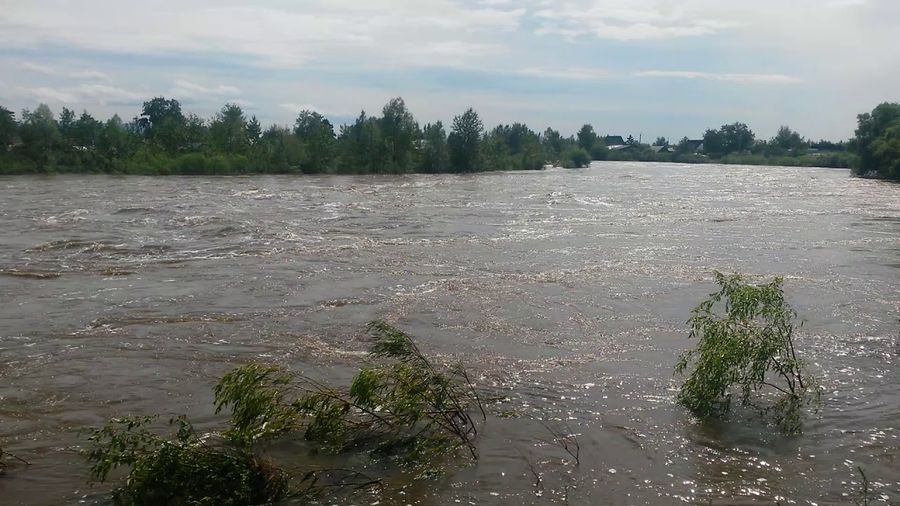 В реке Читинка утонули мужчина и ребенок