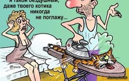 В Могоче разыскивают маньяка, убившего восемь котов и кошек