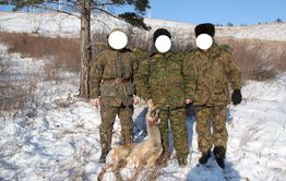 «Вечорка» № 17: кто из прокуроров устроил «царскую» охоту в заповедном Алханае